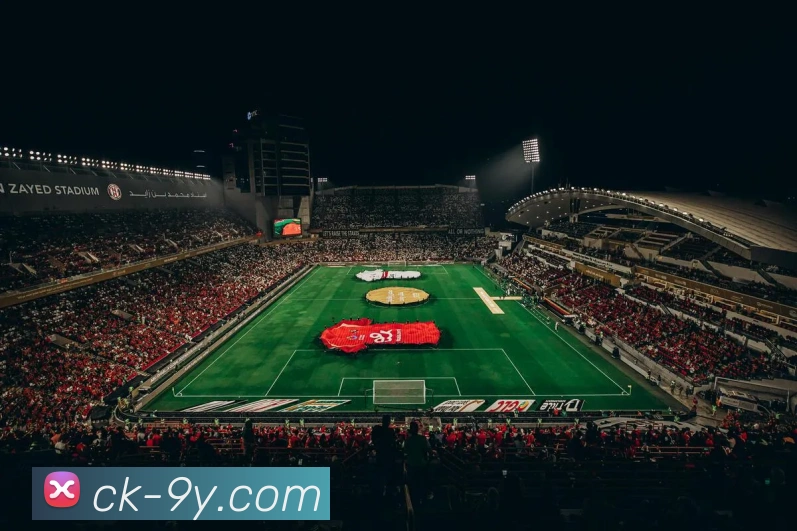 九游官网平台生态图